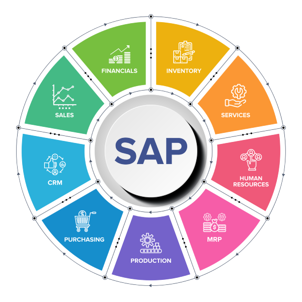 Our Expert SAP Practice Services